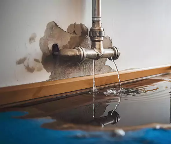Professional Water Damage Restoration Experts in Fort Pierce, FL — Fast, Reliable & Certified